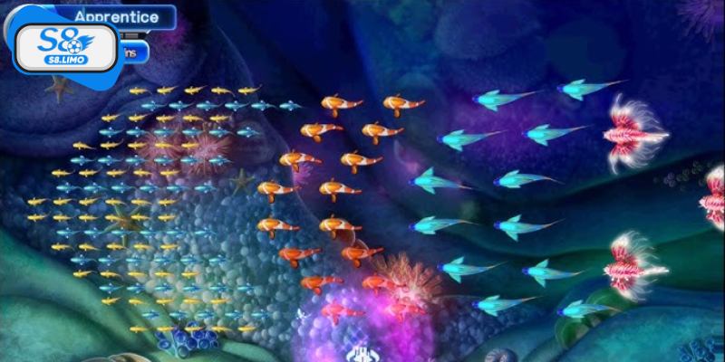 Hệ sinh vật đa dạng dưới lòng biển